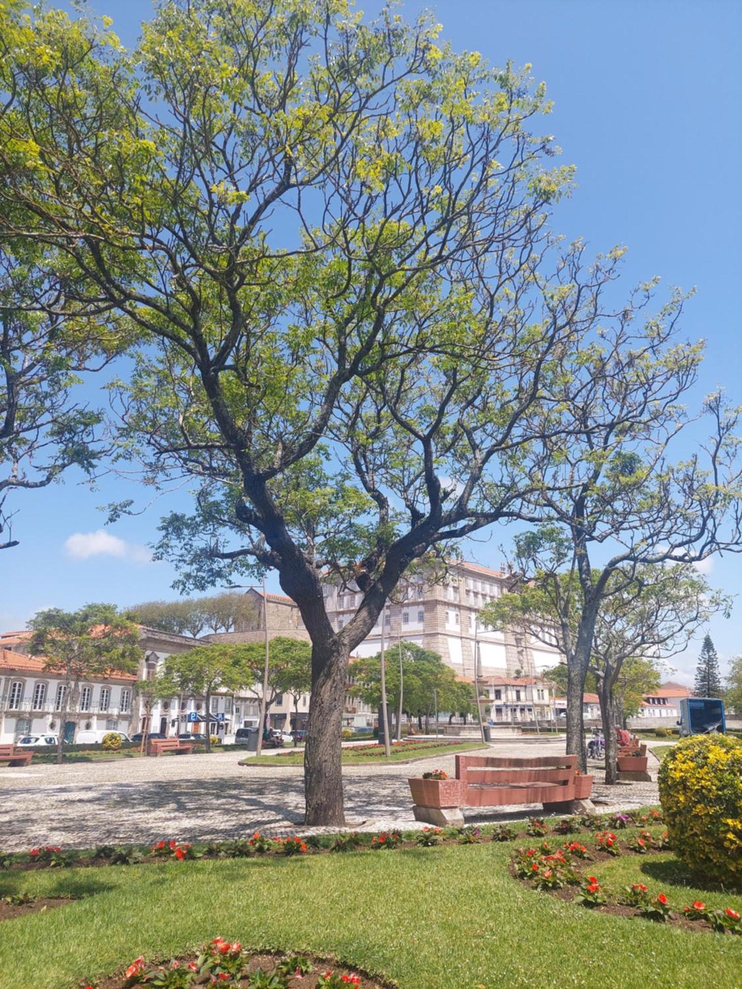 Mostarda Boutique Apartment Vila do Conde Eksteriør bilde